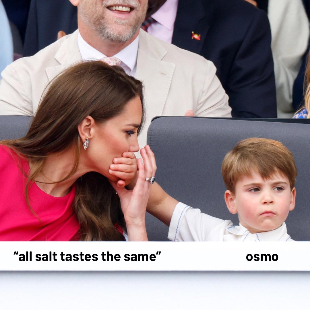 osmokitchen's tweet photo. That’s just a lie mom.

#osmosalt #KateMiddleton #princelouis #Respectfully #royalfamily #saltyourfood https://t.co/LKVjP9UOjl