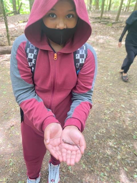 AIC_Dual's tweet photo. Middle school students at AIC took a field trip to Saratoga State Park.  ⁦@albanyschools⁩ ⁦@AlbanyENL⁩ #allinforalbany https://t.co/qrGR8l2Mse