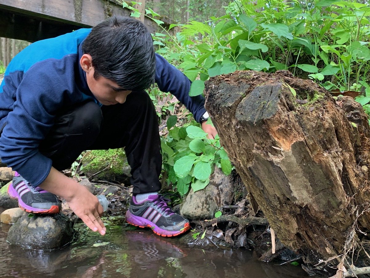AIC_Dual's tweet photo. Middle school students at AIC took a field trip to Saratoga State Park.  ⁦@albanyschools⁩ ⁦@AlbanyENL⁩ #allinforalbany https://t.co/qrGR8l2Mse