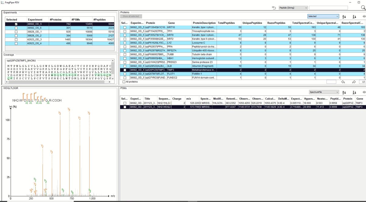 Brett Phinney (@ucdproteomics) on Twitter photo Whoa! I'm really liking <a href="/nesvilab/">Alexey Nesvizhskii</a> Fragpipe 18's new built in spectra viewer! If you have ddaPASEF data it's a great free way to view the PSM's Whoa! I'm really liking <a href="/nesvilab/">Alexey Nesvizhskii</a> Fragpipe 18's new built in spectra viewer! If you have ddaPASEF data it's a great free way to view the PSM's