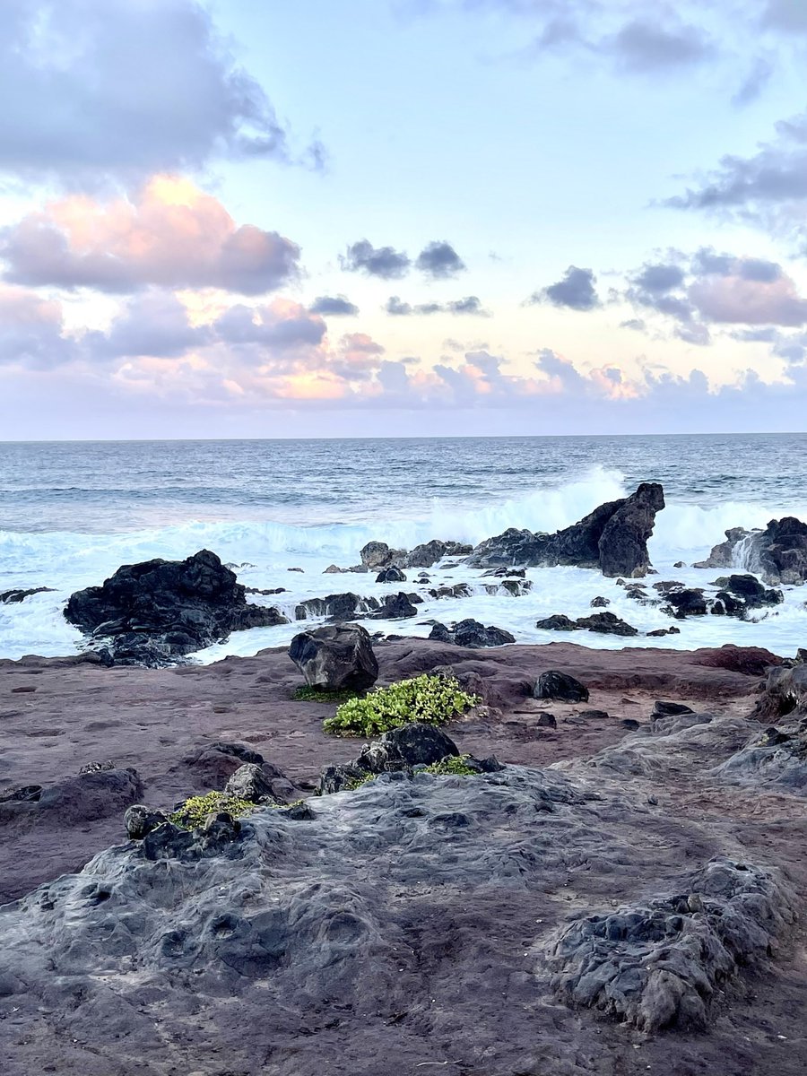 OfficialColie's tweet photo. Happy #WorldOceansDay 🌊🌅🏝 https://t.co/EpJorVVe9s