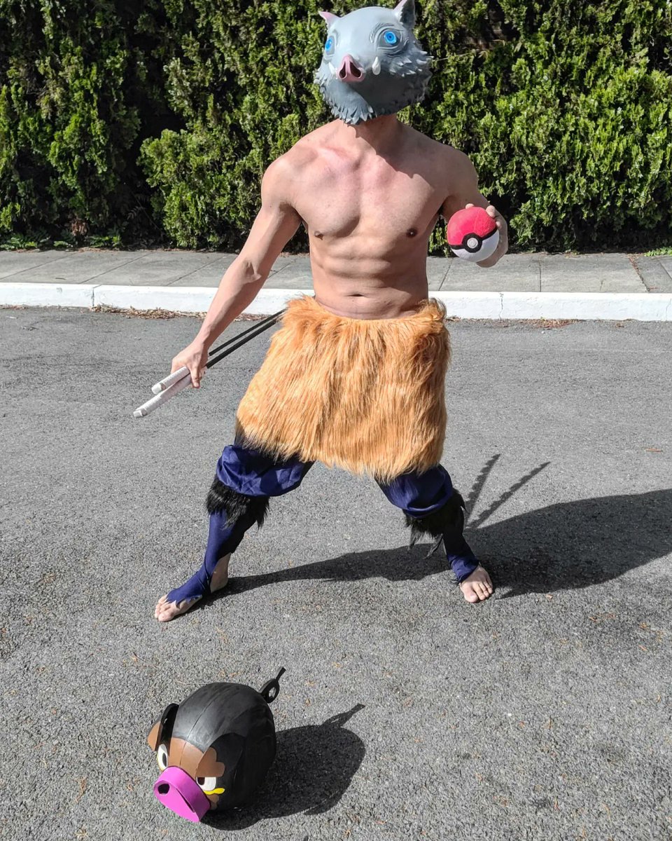 TimcangJr's tweet image. Lechonk Found his Trainer #lechonk