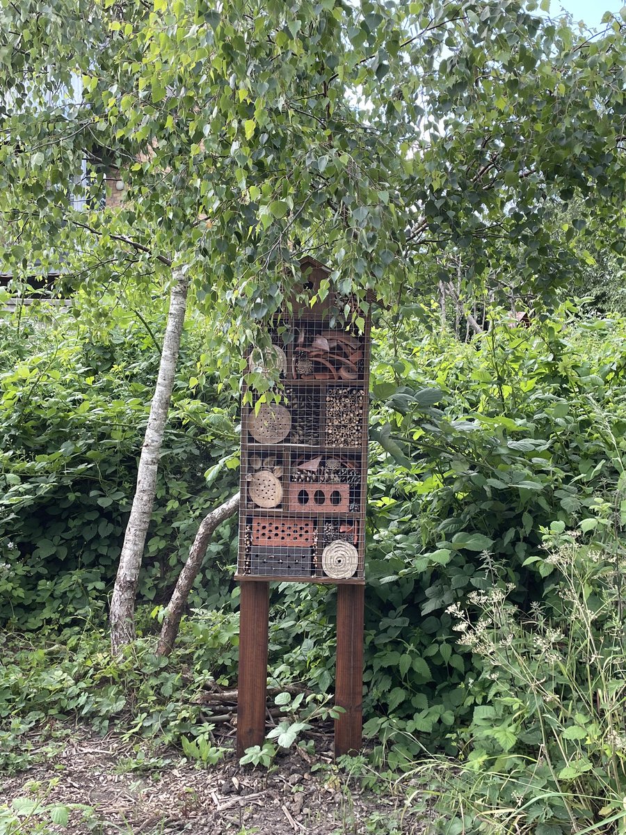 The bug house also looks well settled in now. 🐛 🐜 🐞 #communityorchard