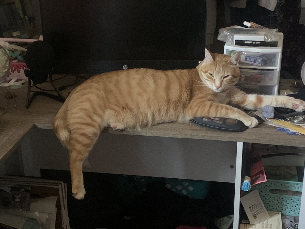 ms_em4255's tweet photo. i woke him up https://t.co/LpjaIZNIxL