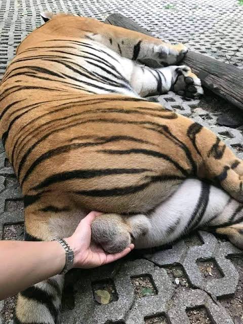 Jackie2theworld's tweet photo. Descripción gráfica de lo que está haciéndo amloco a EEUU...

Que conste!!!☝😏 https://t.co/QMSCYRs9Ey