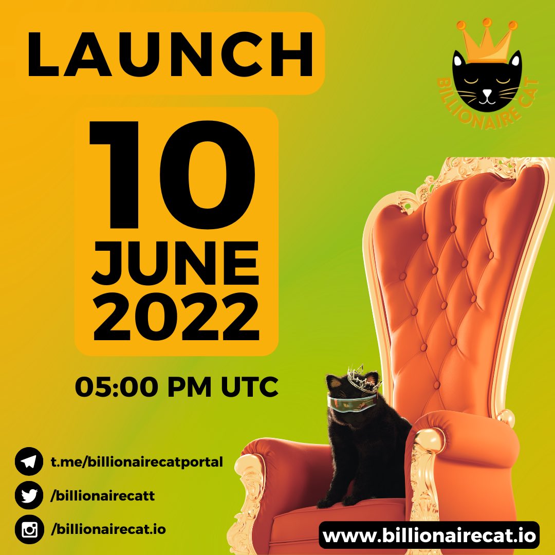 Fasten your seatbelt, we are ready for takeoff. 

Most hyped launch of the month, Billionaire Cat is your next sure shot on <a href="/BNBCHAIN/">BNB Chain</a> 

Applied for CMC already
Massive marketing push
Influencers onboard 
Biggest buy competition 

TAX: 10/10

Join community t.me/billionairecat…