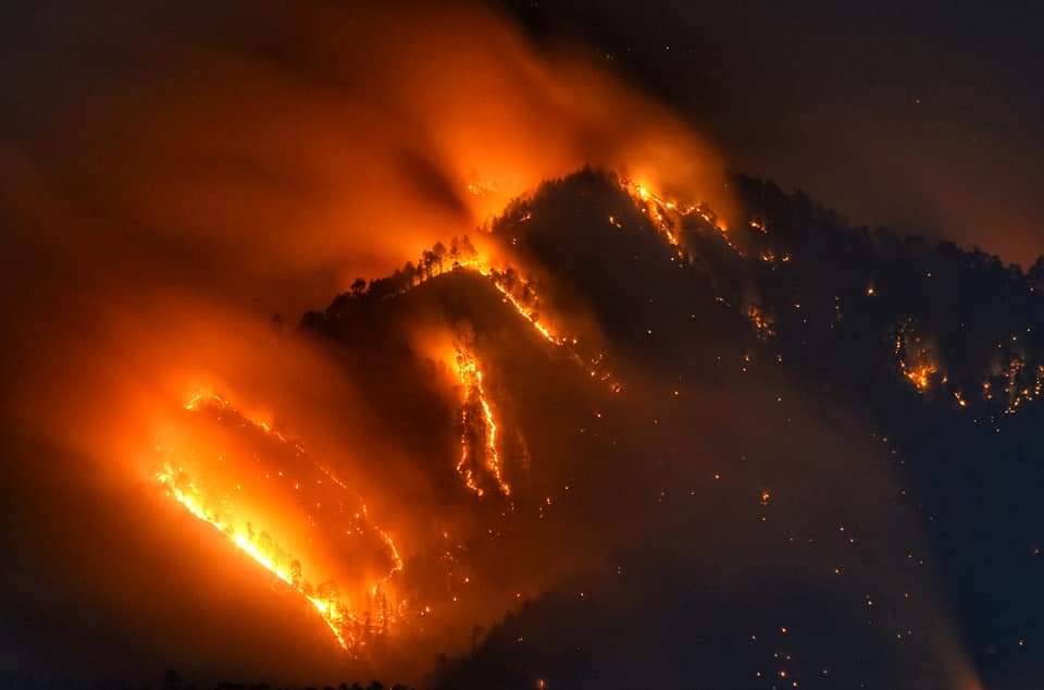 Massive #ForestFire near #Shimla.
Pic: Deepak Sansta
#NaturalDisaster #Manmadedisaster #Himachal