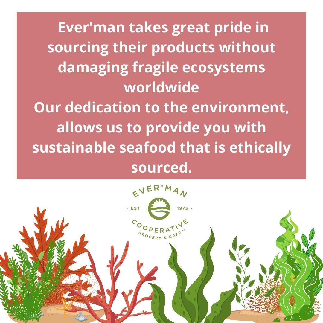 evermancoop's tweet photo. Swipe for an ocean of opportunities to make our  world better today! 💚 🌊 https://t.co/shQmwtiZNG