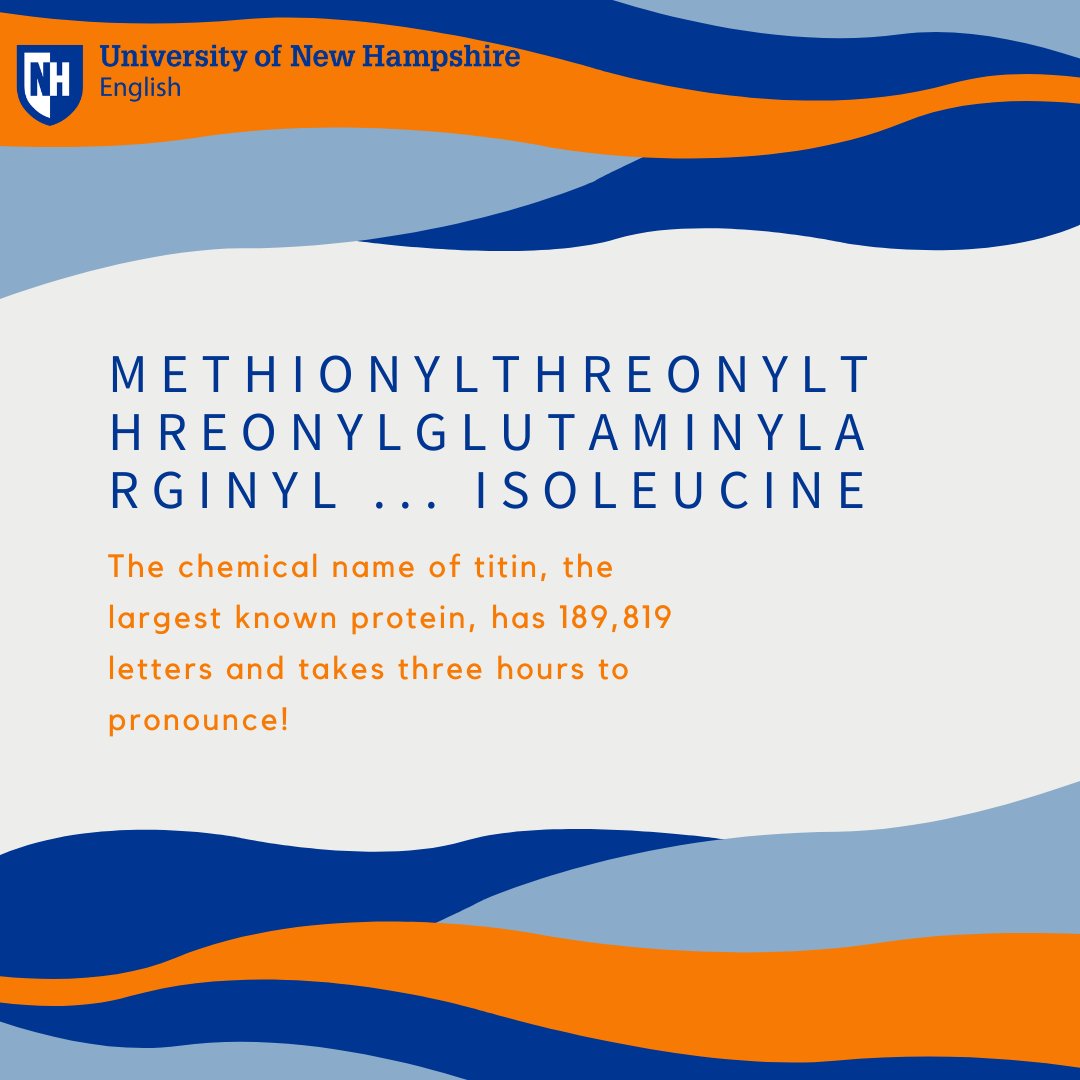 Did you know what the world's longest word was? 

#UNH #ThisIsUNH #English #COLAstrong