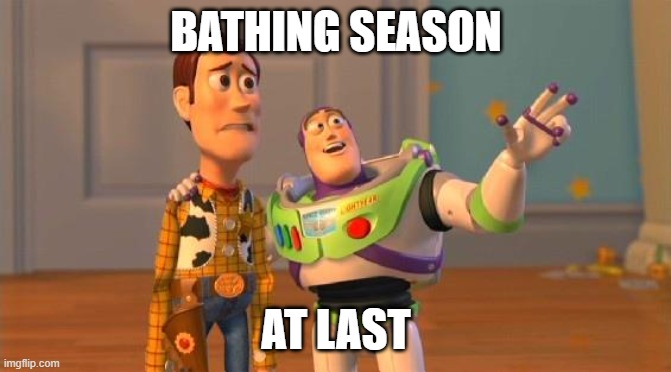 It's been a week since the bathing season got under way and hopefully you've had a chance to take a dip.

For those who have yet to take the plunge, we hope that you are 'buzzing' and not feeling like Woody 🙃.

#swimlife #swimtime #swim #thegreatoutdoors #outinnature
