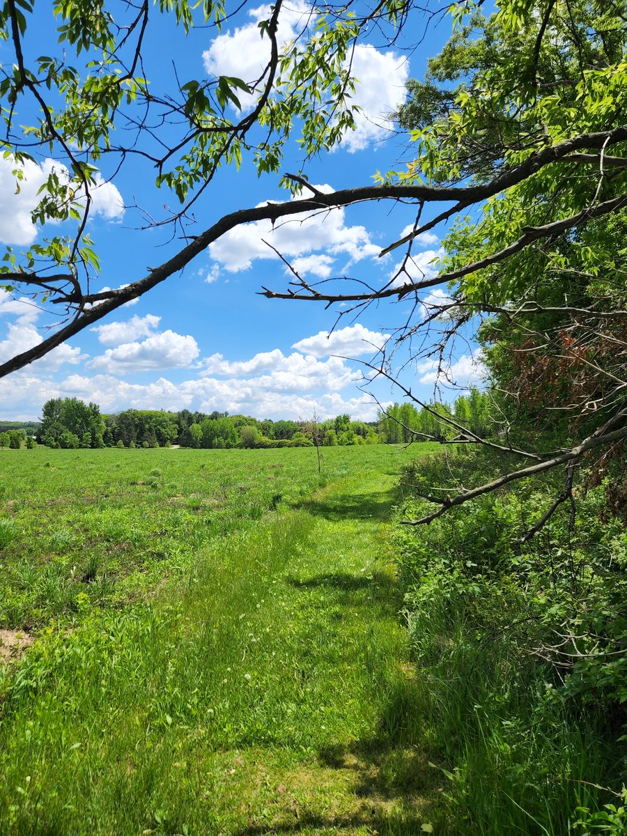 Kensey Schultz tweet media