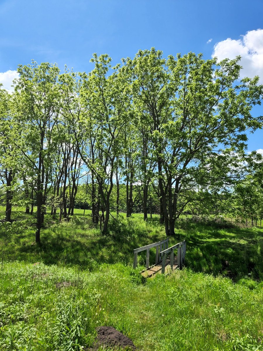 Kensey Schultz tweet media