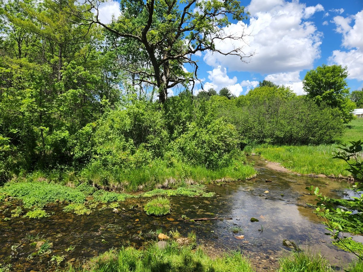 Kensey Schultz tweet media