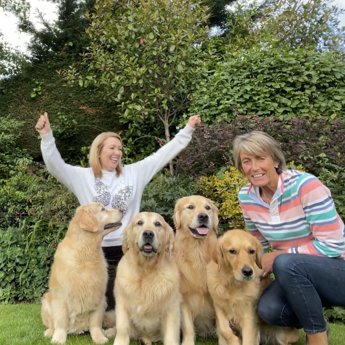 lyndseyuglow's tweet photo. Great to see @pyewoman this afternoon to chat about therapy dogs, puppies and of course children and young people in hospitals.  Hilarious attempting a selfie with four dogs but we managed it in the end. She’s now been released from the puppy pen! 🐾🐾 https://t.co/yNeF3ABKrs
