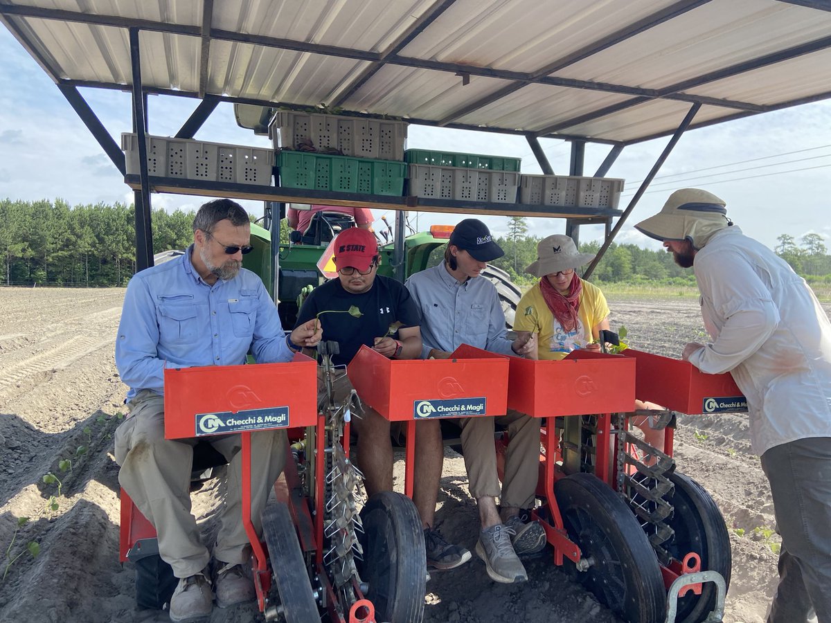 xtiealmeyda's tweet photo. First planting down in Clinton Research Station 💪🏽💪🏽💪🏽 Also spotted potyvirus symptoms on old generation material to be planted as part of our NCPN-SP economic study 🤩 @YenchoLabNCSU thanks so much for the help and showing us your beds 🤩 #NCPN-SP #NCAgriculture #MPRU https://t.co/xUAuQHuvlf