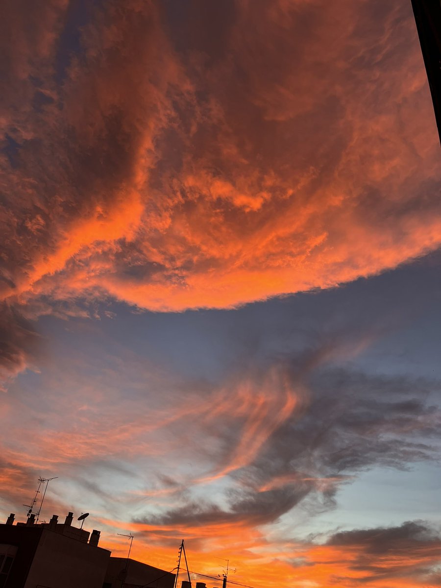 cánovas tweet media