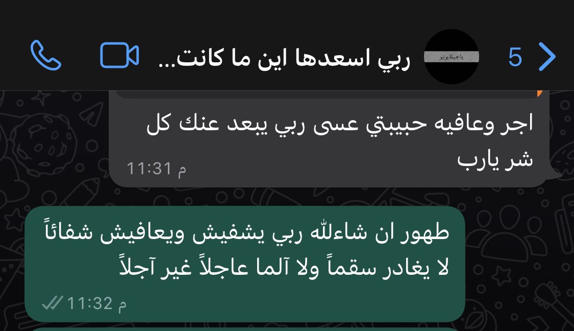noor tweet media