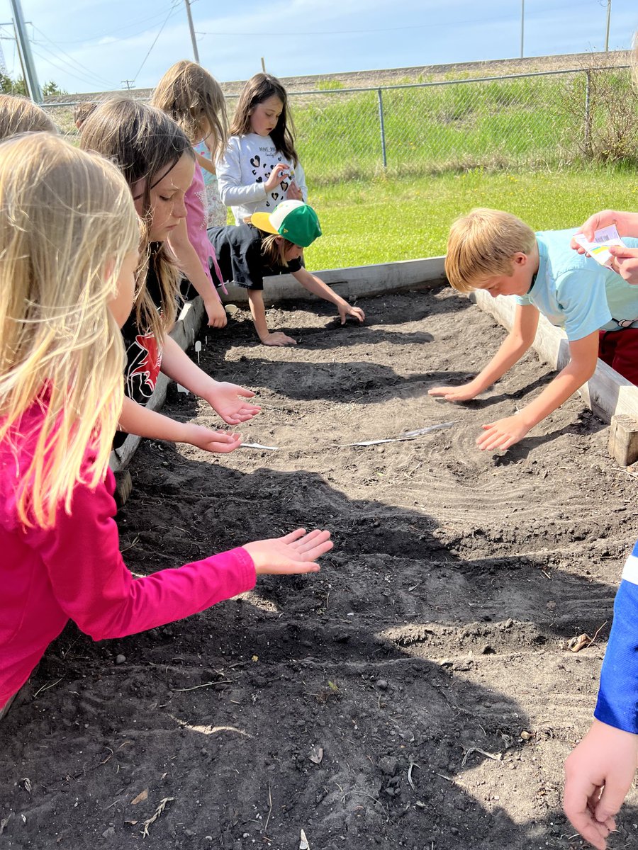 Rolanda Eadie tweet media