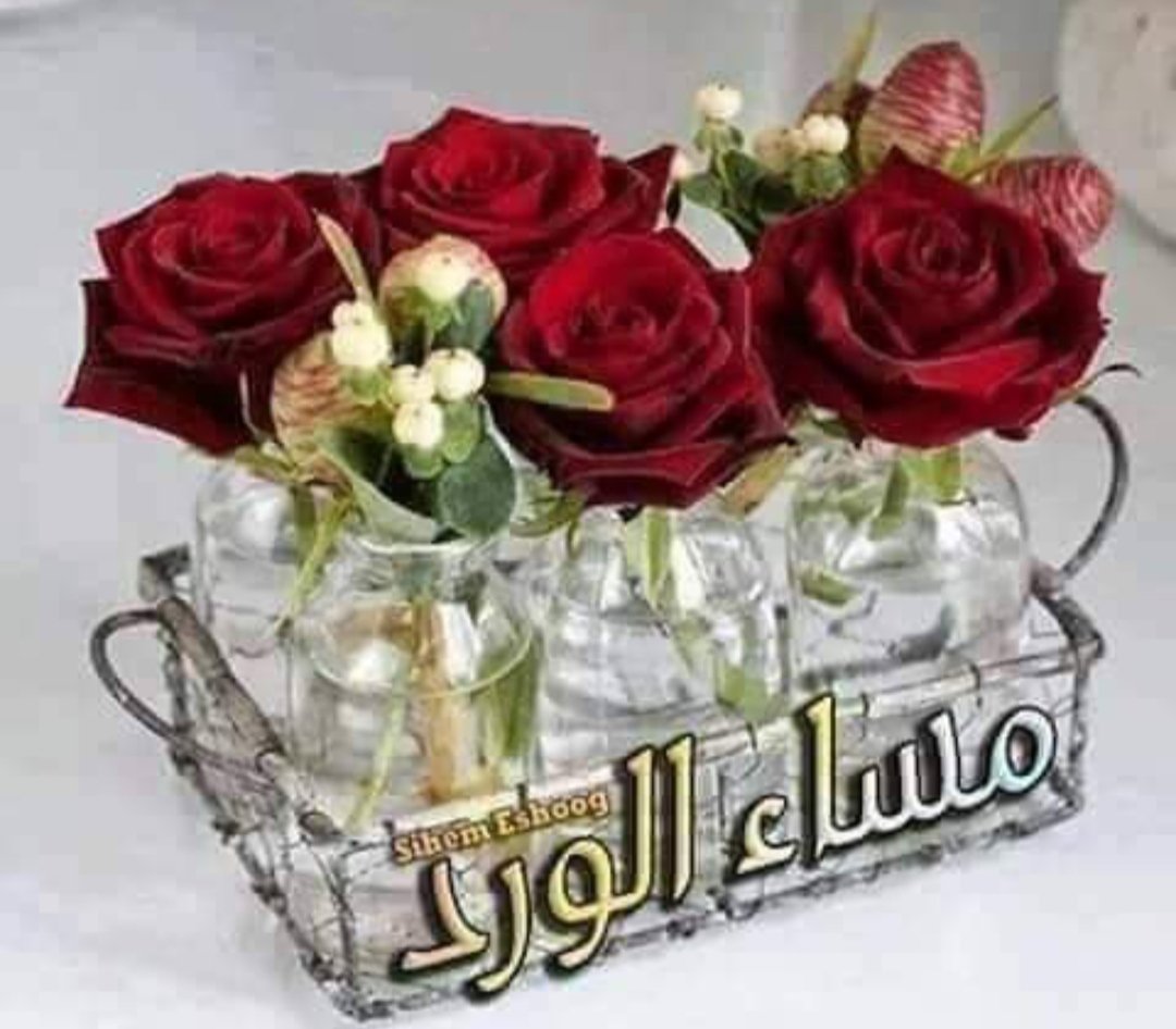 bannotamasrya22's tweet photo. 🍂🌷تغريدة المساء🌷🍂*

أسأل الله أن ينزل علينا وعليكم من سحائب رحماته ، وفيض بركاته ،
ما تطمئن به ن��وسنا وتتحقق به أمانينا ،
اللهم بارك لنا 
ولا تشغلنا بغيرك 
ووفقنا لحمدك وشكرك 
وأدم علينا عفوك وسترك 
يسر الله أموركم،وشرح صدوركم 
وحف��كم من كل شر أنتم ومن تحبون💕
مسـ⛅ــاء الخير https://t.co/2HGxcpAZeJ
