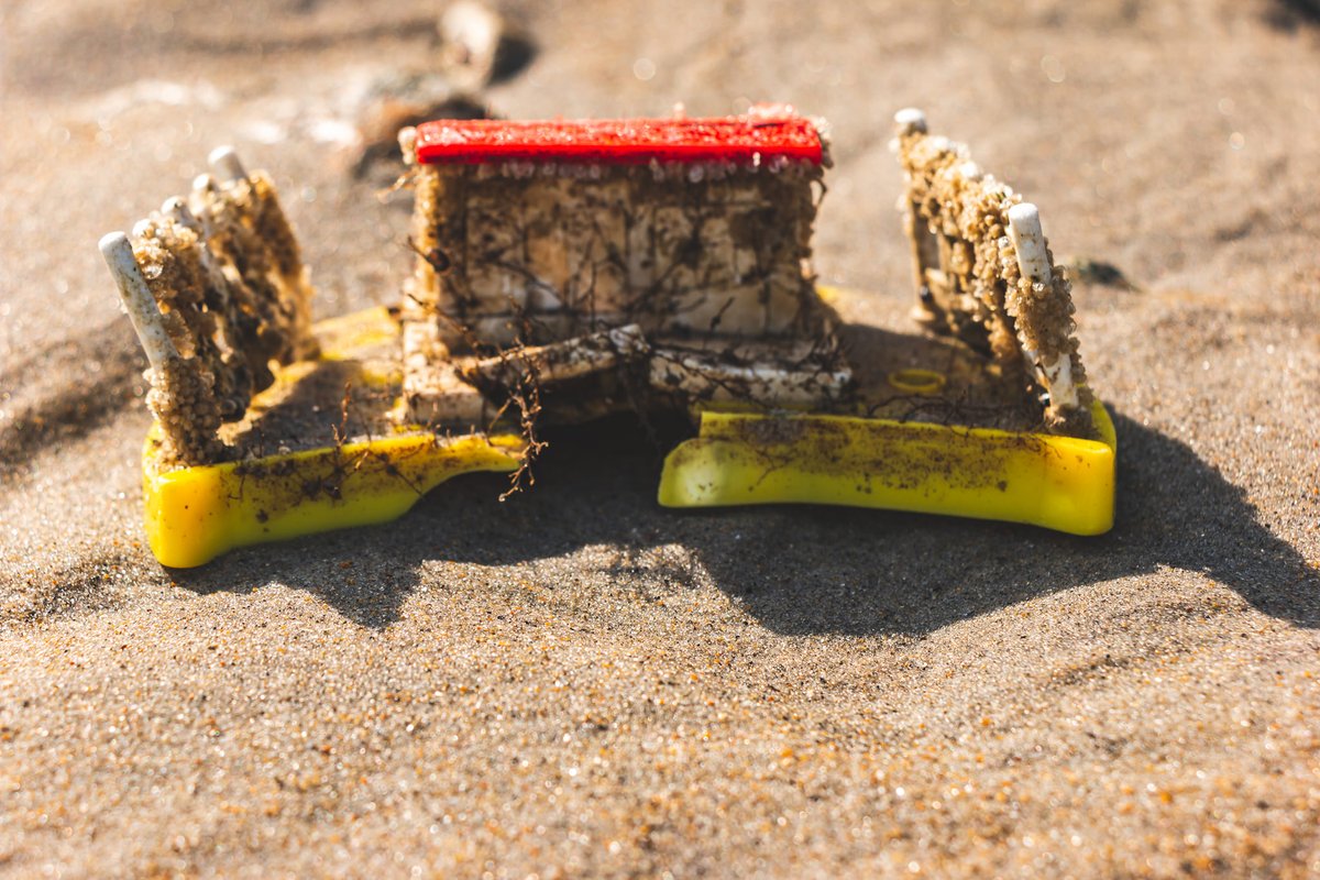 TrueLifePicsMA's tweet image. Beachfront Property. $650,000 OBO. ;) 
#CaptureTrueLife 
#OceanShoreDebris