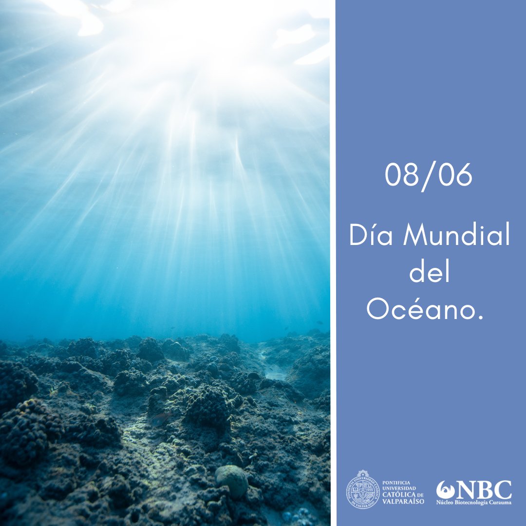 Se estableció este día para informar sobre el impacto de los humanos en el océano, desarrollar un movimiento mundial de ciudadanos por el océano y movilizar y unir a la población mundial en un proyecto para la gestión sostenible de los océanos. ¡Cuidamos nuestro planeta!