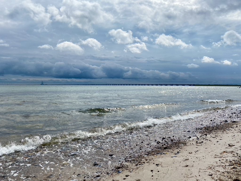 Signe Borgquist tweet media