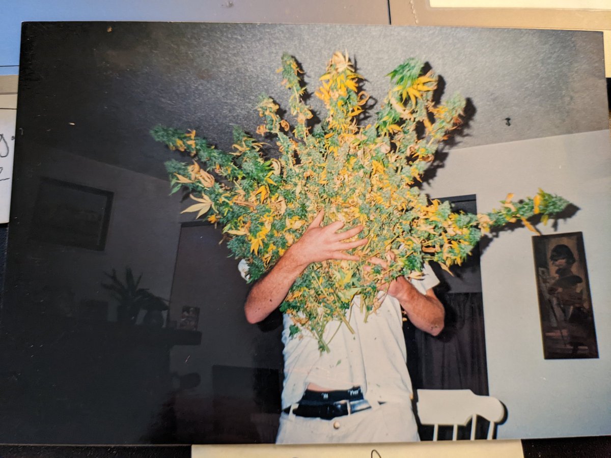 AaronWAnderson's tweet photo. 24yrs old. Harvesting a 10 light batch of White Rhino. Little did I know that tomorrow I was going to be arrested for this.

February 8, 2001. https://t.co/K8LdSJTXUV