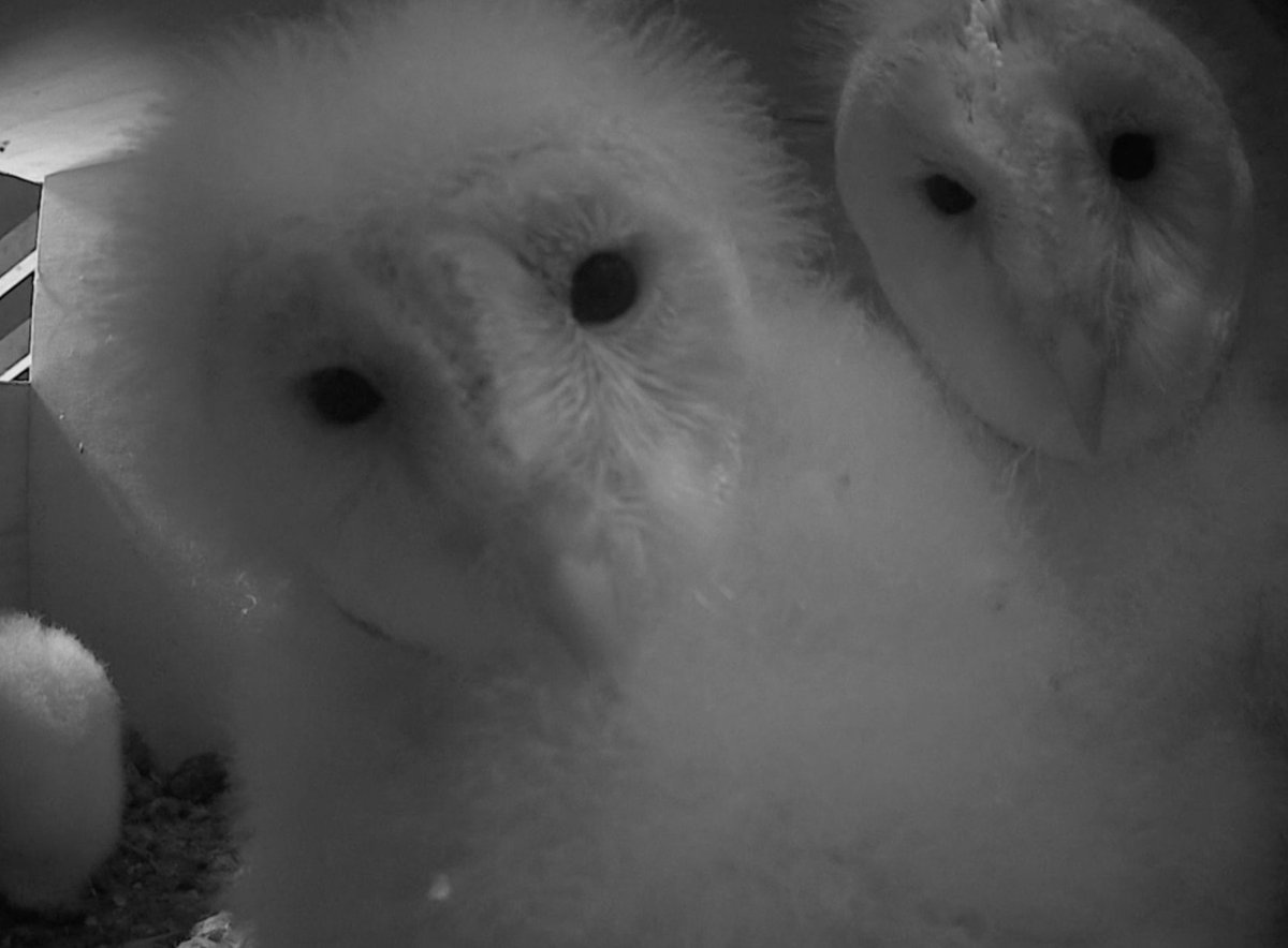 NoContxtWatches's tweet photo. We saw you from across the bar and we really dig your vibe #Springwatch https://t.co/zXIhXIPGgt