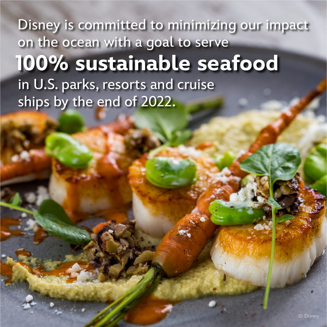 DisneyConserves's tweet photo. It’s #WorldOceanDay and we’re making a splash with our ocean conservation and sustainability efforts 🌊 https://t.co/gqS9595Oiy