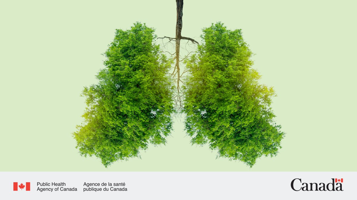 CPHO_Canada's tweet photo. Having #CleanAir is more important than you may think. Improved air quality helps reduce the development of respiratory diseases as well as contributes to our fight against climate change. #OnlyOneEarth   
https://t.co/PPwheQuB1v https://t.co/Jo3eQIiLaM
