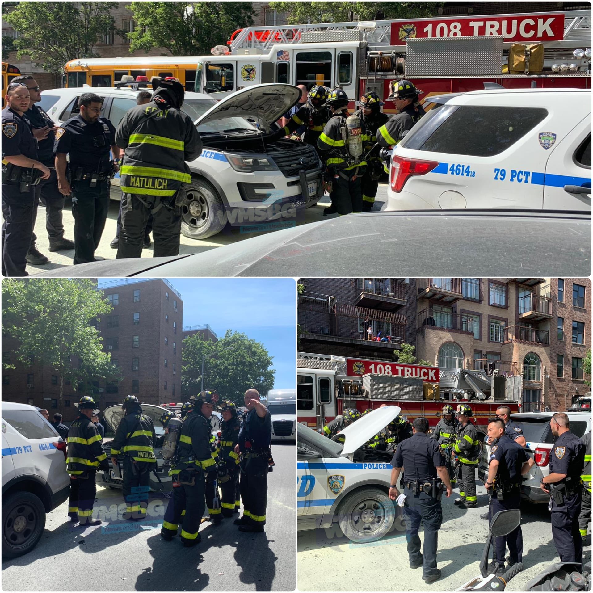 WILLIAMSBURG NEWS on Twitter: "https://t.co/ezC3og5RsX" / Twitter