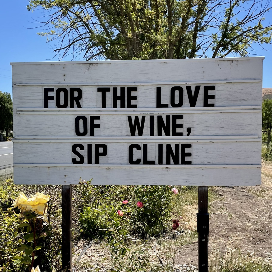ClineCellars's tweet photo. Wine Down this Wednesday with some fine Cline wine. Let us know what you're sipping. #aSignoftheClines #WineDownWednesday https://t.co/CJH3j9SMwK