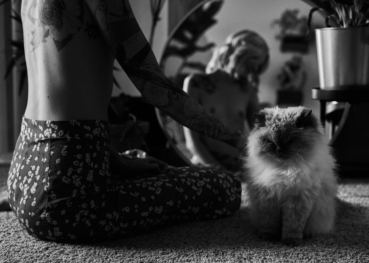 ThatsDanO's tweet photo. Tittens_1 https://t.co/qr1OcetRrJ