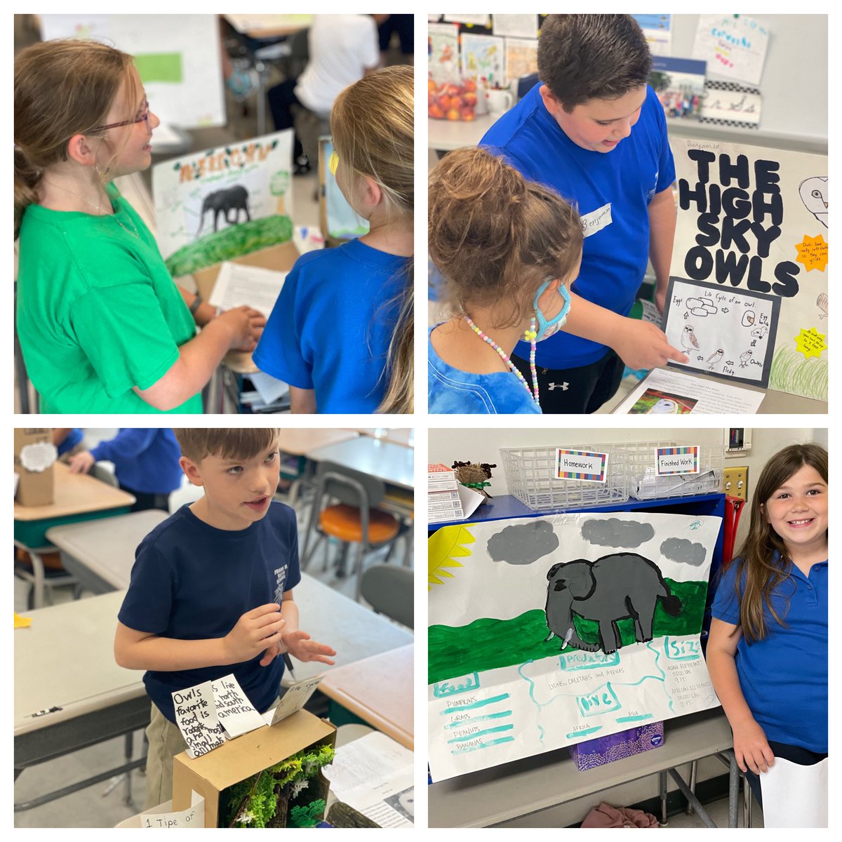 kmichel823's tweet photo. Students in grade 3 did an amazing job presenting their informational writing science projects today!! 🐆🦥🐘 @frps_Silvia @FRPSsupt https://t.co/oM0qZXHCVk
