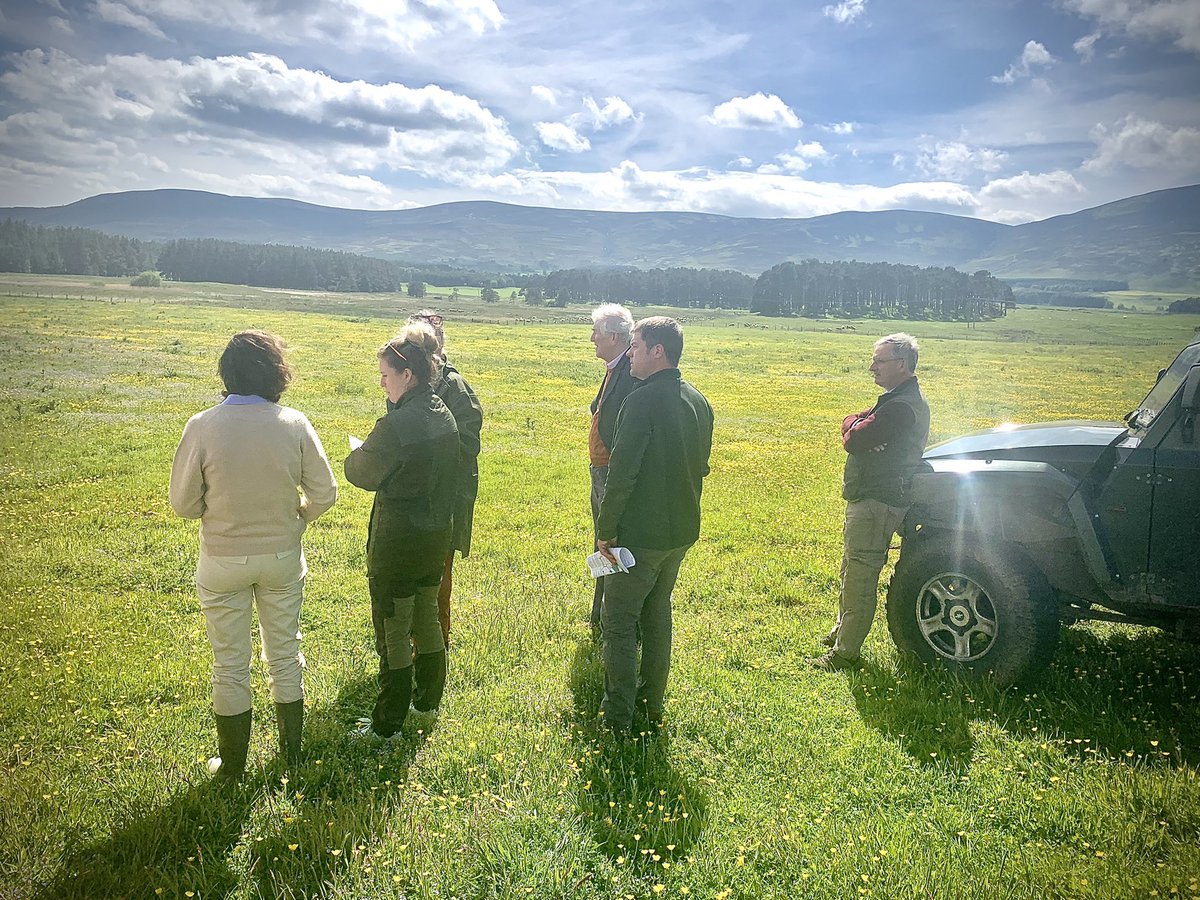 Monday’s farm management meeting at GWSDF Auchnerran… not the weather for a boardroom table. Great to be able to demonstrate conservation in action and admire the waders