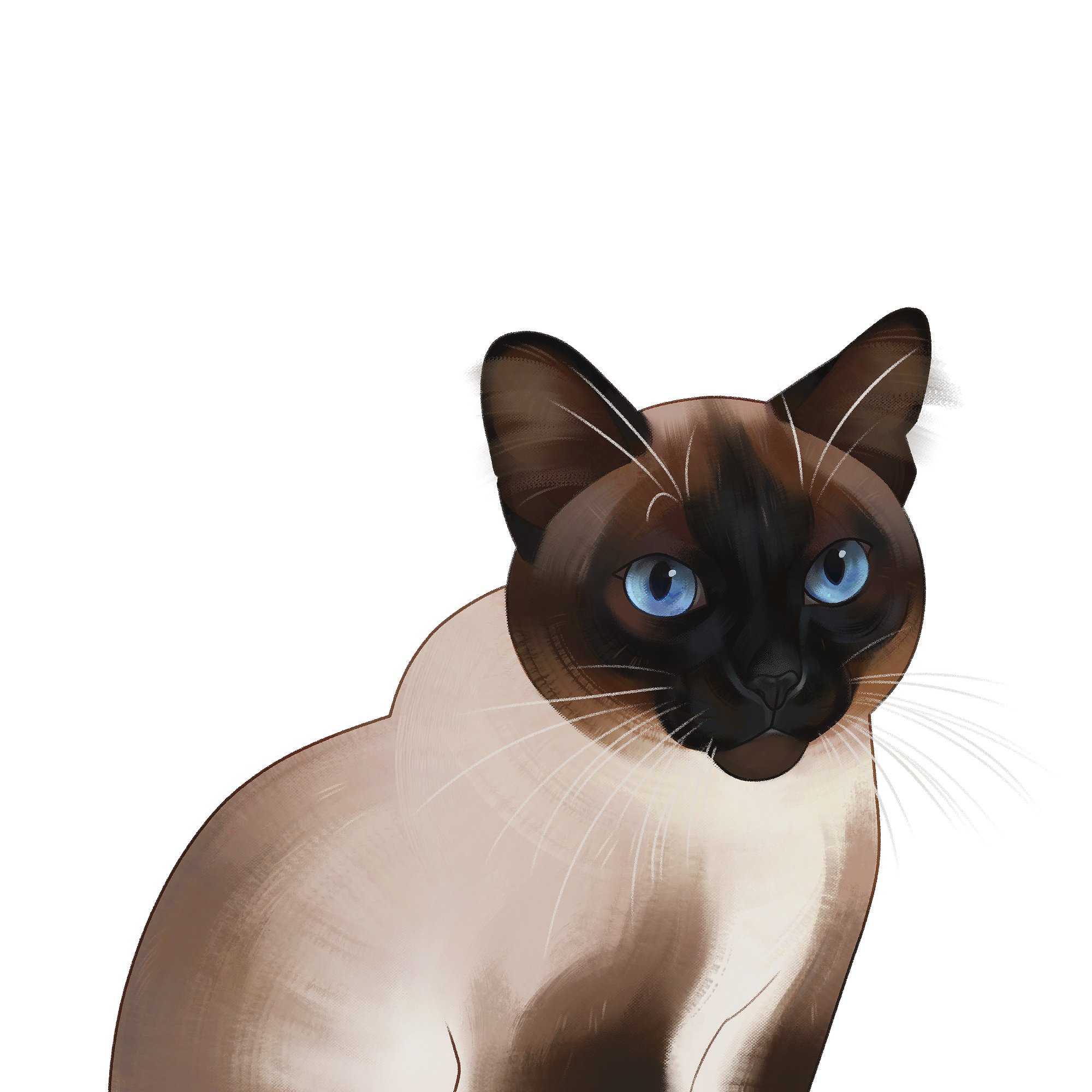 Cattails Wildwood Story on Twitter "Stretch Goal Unlocked! Meet your