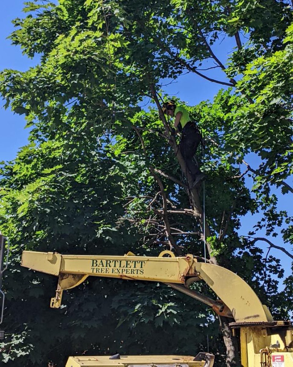 Community Share Food Bank tweet media