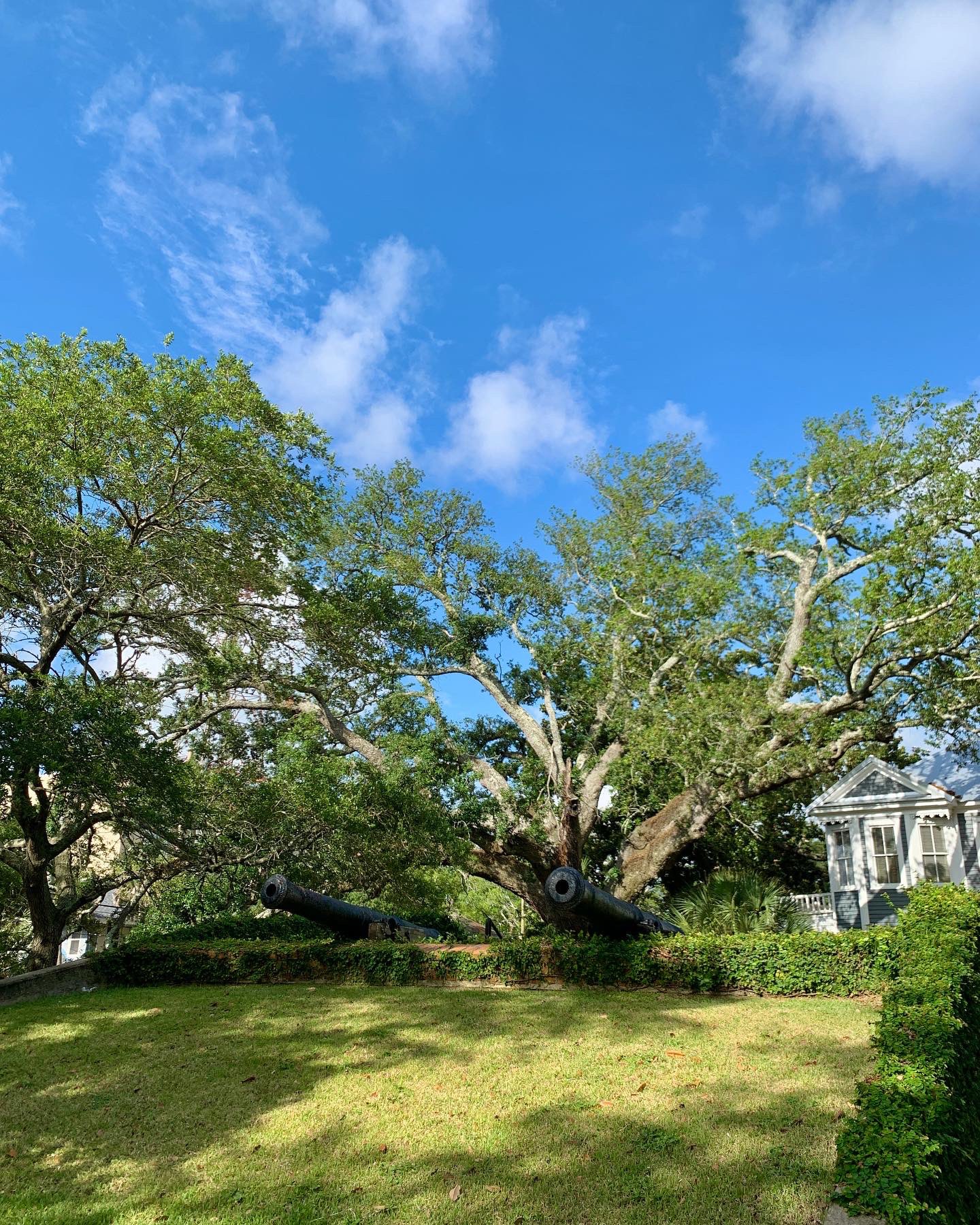 Shawn Brown (shawnbrown) / Twitter