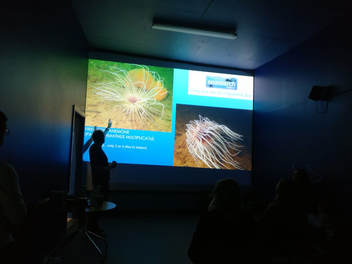 GalwayAquarium's tweet photo. Thanks to our incredible speakers at tonight’s #WorldOceanDay Event, sharing knowledge of working on a local level @SeaSearchIre , National Level @FairSeasIreland and protecting marine environments on a global scale @Afroloose @NUIGalwayPress @IOLNetwork #weareislanders https://t.co/0BFqoeYZdk