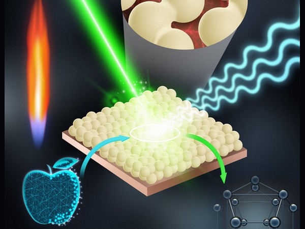 Nanosensor kan binnen enkele minuten residuen op fruit detecteren
agf.nl/article/943372…