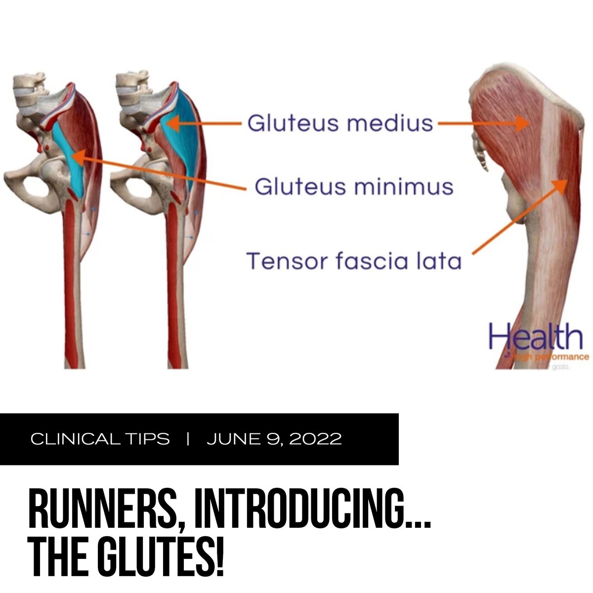 Today, we're discussing this article from Bartold Clinical contributor, Luke Nelson! Read about the functions and consequences of the lateral hip muscles in running economy, as well as the link between rate of force development (RFD) and injury.
bartoldclinical.com/runners-introd…