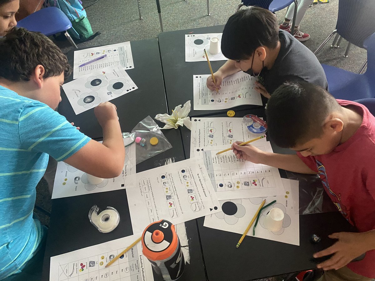 CKimballLitLead's tweet photo. Students in the @SpringISD_AdvAc Dual Language G/T Summer Camp are testing the effectiveness of pollinators using The Museum of Natural Science’s Engineering is Elementary(1st-3rd). #engineeringiselementary #summertalentdevelopment https://t.co/Ept3KYFuZg
