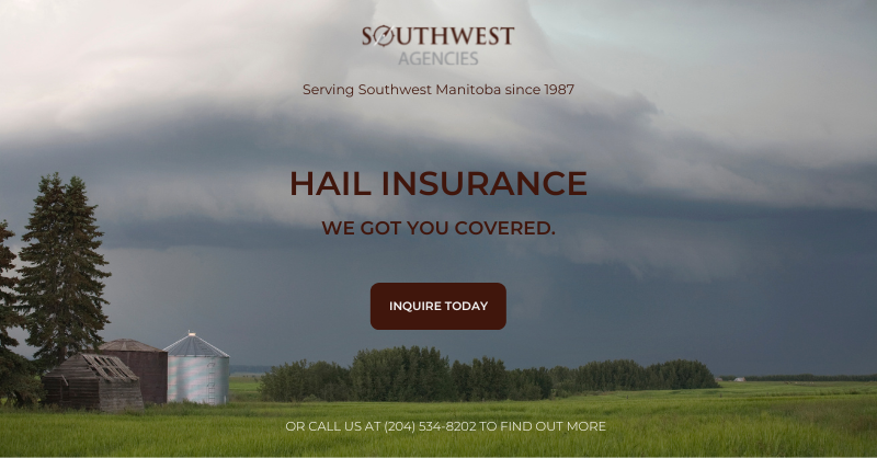 SWAgenciesMB's tweet photo. Need Hail Insurance? We got you covered. Inquire today or call us at (204)-534-8202 to get started.
Learn more: https://t.co/34zp4SpTLX https://t.co/2eigmrE2sN