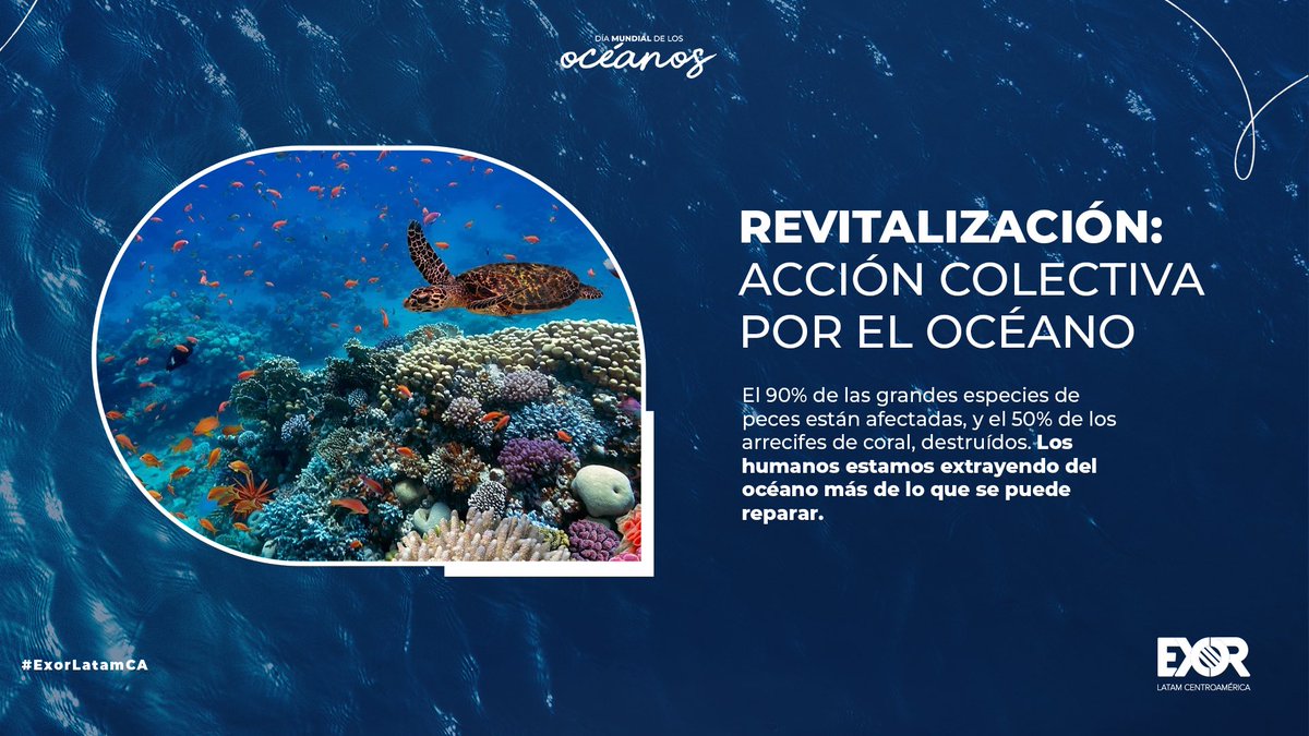 Exor Latam CA tweet media