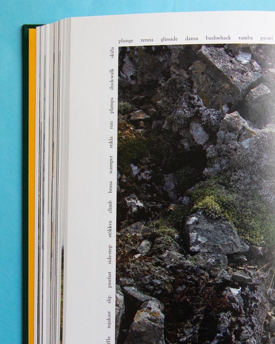 jaysimpson_us's tweet image. Closeups of @WayfindingGuide on instagram instagram.com/p/CejoW0MuFzU/

#InTheWestfjords #Iceland #visitWestfjords #selfpublishing #bookdesign