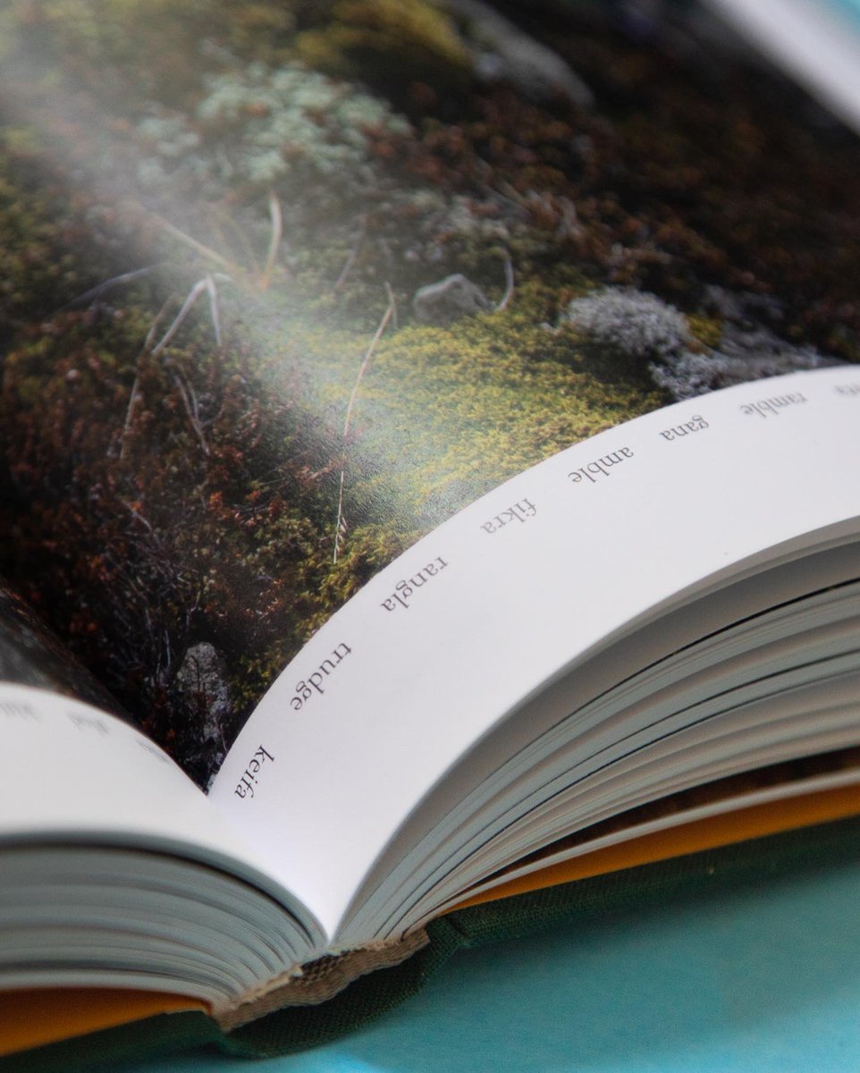 jaysimpson_us's tweet image. Closeups of @WayfindingGuide on instagram instagram.com/p/CejoW0MuFzU/

#InTheWestfjords #Iceland #visitWestfjords #selfpublishing #bookdesign