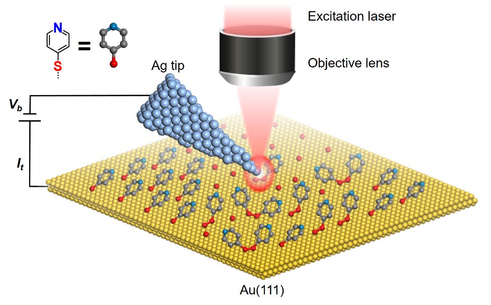 LabZenobi's tweet photo. Check out how #tipenhanced #Raman #spectroscopy can be used to visualize on-surface #decomposition #chemistry at the #nanoscale in our latest publication: https://t.co/76eCqsAkTT @Zhenfeng_Cai @Naresh_Kumar15 @JPCLjournal https://t.co/Mizrp4xFQR