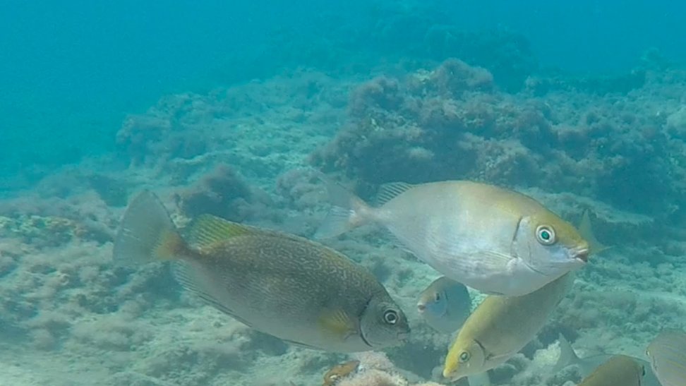 SebastienVilleger tweet media