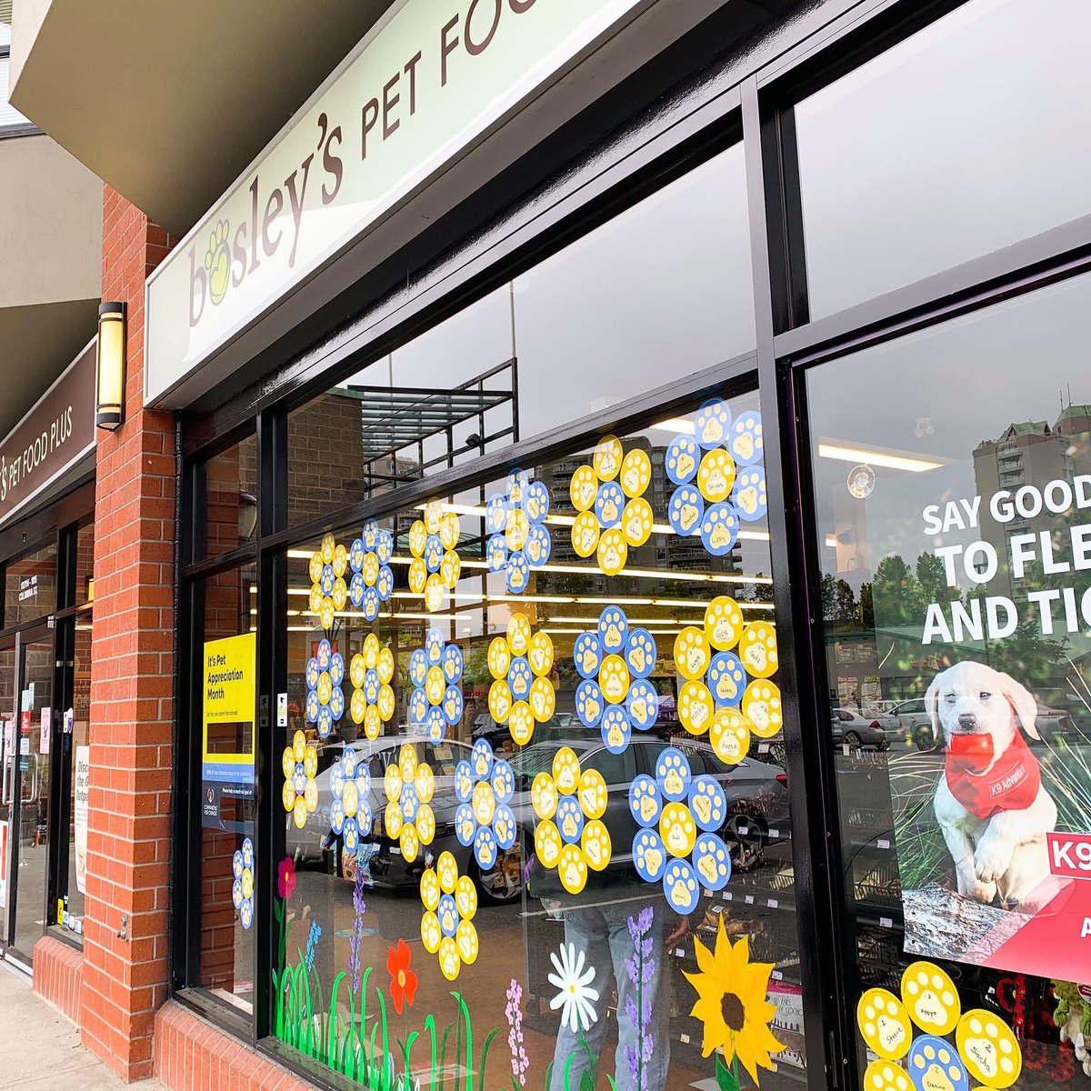 Paws up! 🐾 June is #PetAppreciationMonth!
When you donate and dedicate a paper paw this month, 100% of your donation goes towards local pet rescues, shelters and more! 💚 #newwestshelter #yourpetyourstore #loveliveshere #newwest