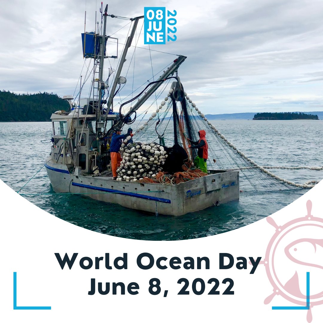The #seafood industry plays a vital role in supporting coastal communities, creating jobs, contributing to our national food security, and providing Americans with a safe, #sustainable, low-carbon footprint, + *delicious* source of protein. 

#WorldOceanDay #fishing #fish #ocean